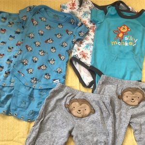 6-9 Month Baby Monkey Lot